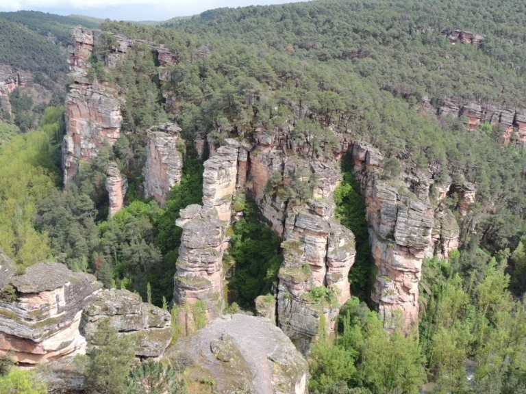 2 Días de Naturaleza en Alto Tajo
