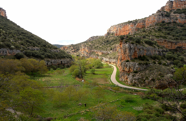 Ruta por la Naturaleza